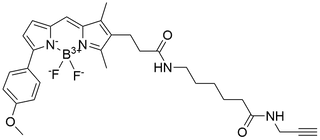 BODIPY TMR-X alkyne