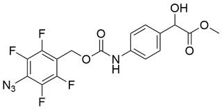 methyl 2-(4-((((4-azido-2,3,5,6-tetrafluorobenzyl)oxy)carbonyl)amino)phenyl)-2-hydroxyacetate