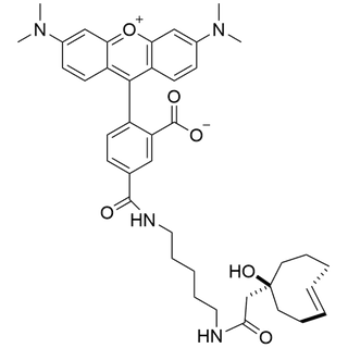 TAMAR-aTCO