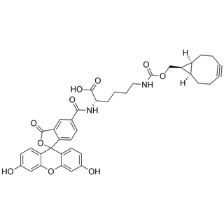 (5-FAM)-Lys(endo-BCN)-OH