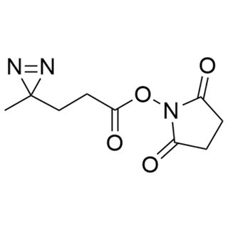 2,5-dioxopyrrolidin-1-yl 3-(3-methyl-3H-diazirin-3-yl)propanoate