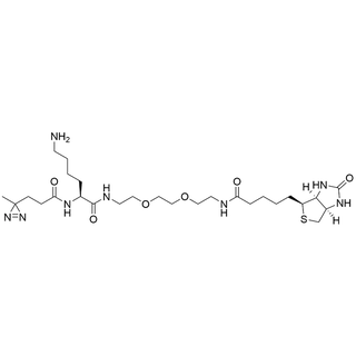 (3-(3-methyl-3H-diazirin-3-yl)propanamido)-Lys-PEG2-Biotin