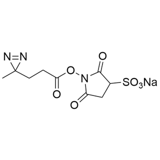 sodium 1-((3-(3-methyl-3H-diazirin-3-yl)propanoyl)oxy)-2,5-dioxopyrrolidine-3-sulfonate