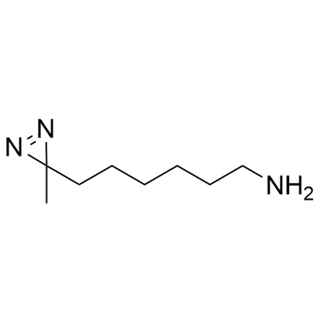 6-(3-methyl-3H-diazirin-3-yl)hexan-1-amine