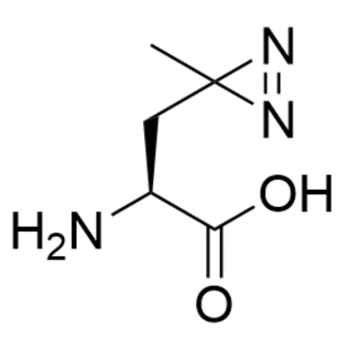 (S)-2-amino-3-(3-methyl-3H-diazirin-3-yl)propanoic acid