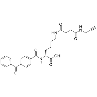 N2-(4-benzoylbenzoyl)-N6-(4-oxo-4-(prop-2-yn-1-ylamino)butanoyl)-L-lysine