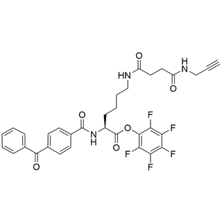 perfluorophenyl N2-(4-benzoylbenzoyl)-N6-(4-oxo-4-(prop-2-yn-1-ylamino)butanoyl)-L-lysinate