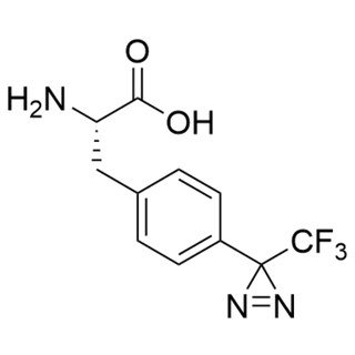 (S)-2-amino-3-(4-(3-(trifluoromethyl)-3H-diazirin-3-yl)phenyl)propanoic acid