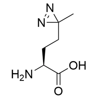 (S)-2-amino-4-(3-methyl-3H-diazirin-3-yl)butanoic acid