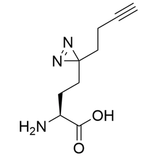 (S)-2-amino-4-(3-(but-3-yn-1-yl)-3H-diazirin-3-yl)butanoic acid