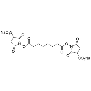 BS3 Crosslinker (disodium)