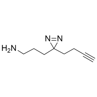 3-(3-(but-3-yn-1-yl)-3H-diazirin-3-yl)propan-1-amine