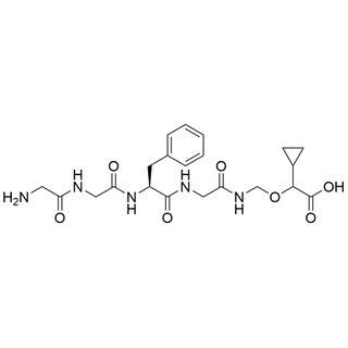 Gly-Gly-L-Phe-N-[(carboxy-R-cyclopropylmethoxy)methyl]Glycinamide