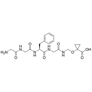 Gly-Gly-L-Phe-N-[(carboxycyclopropoxy)methyl]Glycinamide