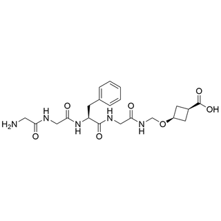 Gly-Gly-L-Phe-N-[(cis-carboxy-cyclobutyl-3-oxy)methyl]Glycinamide