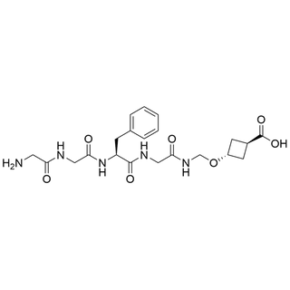 Gly-Gly-L-Phe-N-[(trans-carboxy-cyclobutyl-3-oxy)methyl]Glycinamide