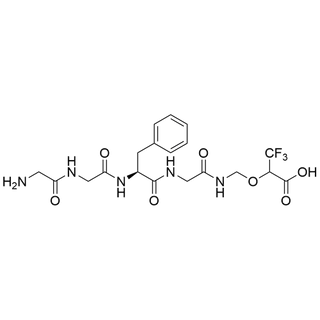 Gly-Gly-Phe-N-[(carboxy-R-CF3-methoxy)methyl]Glycinamide