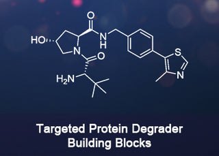 Targeted Protein Degrader Building Blocks