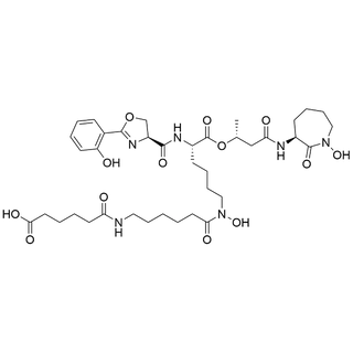Mycobactin T