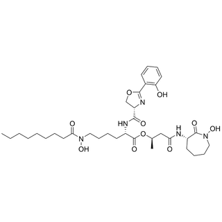 Mycobactin C-9 Analog