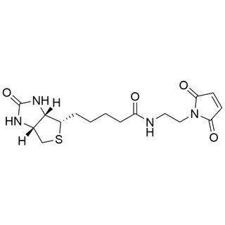 Biotin-C2-maleimide