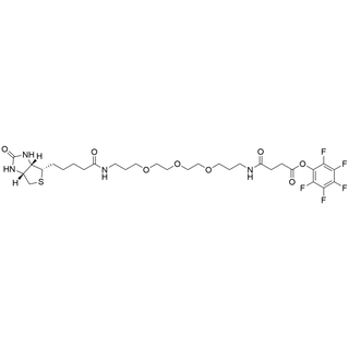 Biotin-NH2-C1-PEG3-Succinyl PFP  Ester