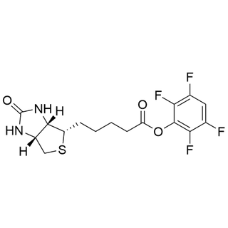 Biotin-TFP Ester