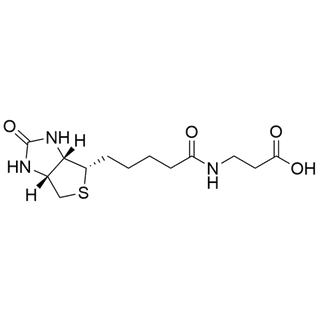 N-Biotinyl-beta-Alanine