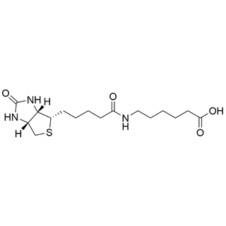 Biotin-LC