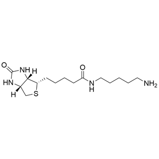 N-Biotinyl-1,5-pentanediamine