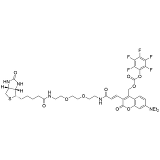 Biotin-PEG2-Coumarin-PFP carbonate