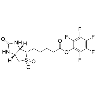 Biotin Sulfone PFP Ester