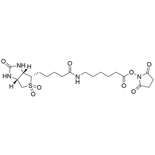 Biotin Sulfone-Acp(6)-NHS Ester