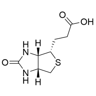 Bisnorbiotin