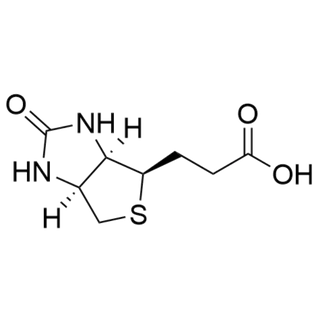 Bisnorbiotin