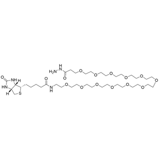 Biotin-PEG12-hydrazide