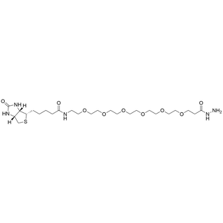 Biotin-PEG6-hydrazide