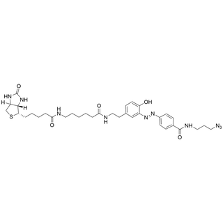 Diazo Biotin-Ahx Azide