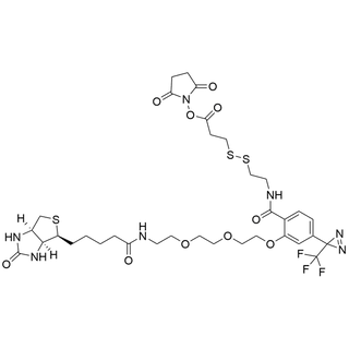 4-(CF3-Diazirine)-3-(PEG2-Biotin)-Bz-SS-NHS Ester