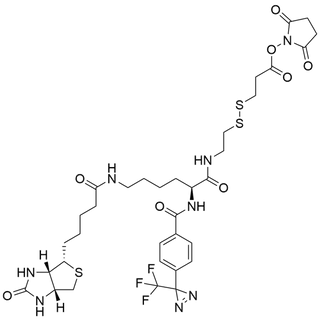 4-(CF3-Diazirine)-Bz-Lys(Biotin)-SS-NHS Ester