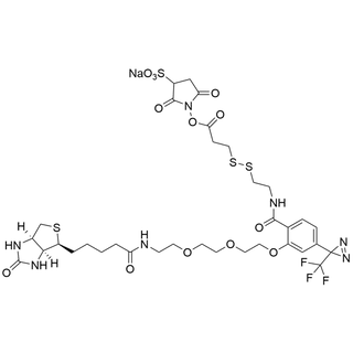 4-(CF3-Diazirine)-3-(PEG2-Biotin)-Bz-SS-Sulfo-NHS Ester