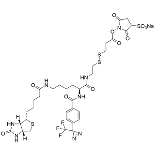 4-(CF3-Diazirine)-Bz-Lys(Biotin)-SS-Sulfo-NHS Ester