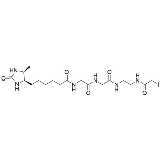 Desthiobiotin-Gly-Gly-EN-(iodoacetamide)