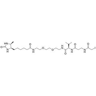 Desthiobiotin-PEG2-Val-beta-Ala-(iodoacetatide)