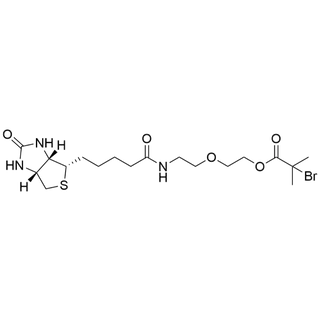 2-(2-(5-((3aS,4S,6aR)-2-oxohexahydro-1H-thieno[3,4-d]imidazol-4-yl)pentanamido)ethoxy)ethyl 2-bromo-2-methylpropanoate