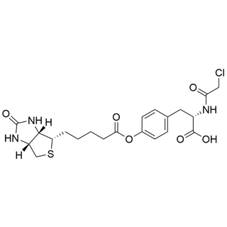 (chloroacetamide)-Biotin-Tyr-OH