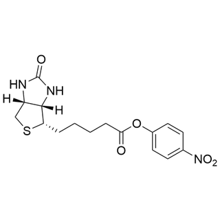 Biotin-ONP