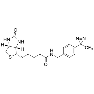 CF3-diazirine-benzyl-amido-Biotin
