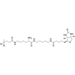 Lys(Me-Diazirine)-PDA-Biotin