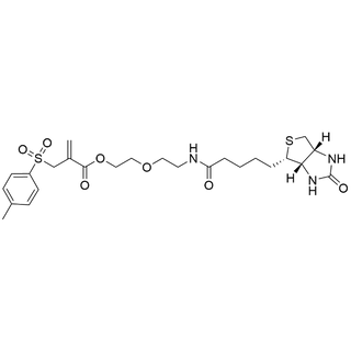 2-(tosylmethyl)acrylic ester-PEG1-Biotin